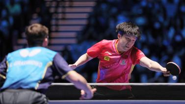 和谐的环境 和谐的环境