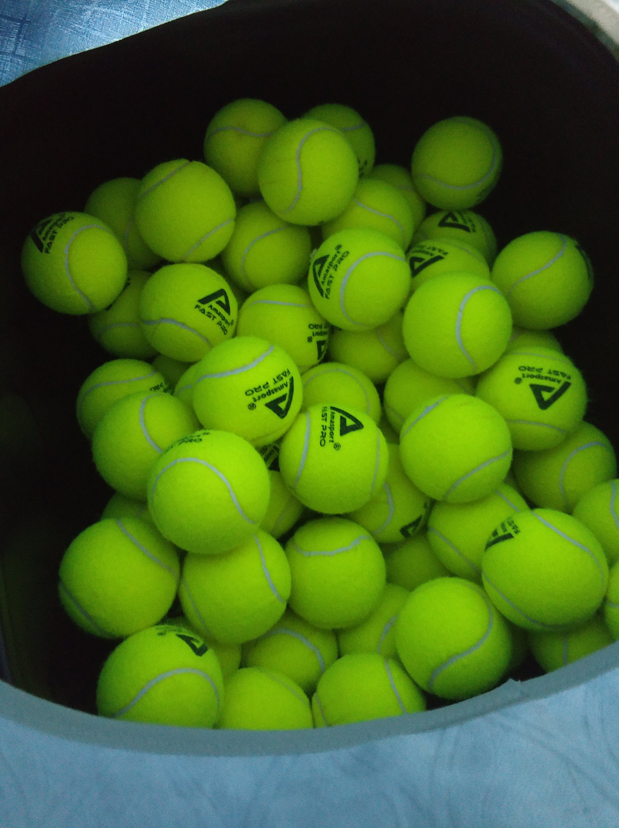 的视野与经 的视野与经