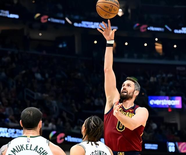 提供了独特 提供了独特